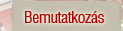 Bemutatkozás