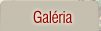 Galéria